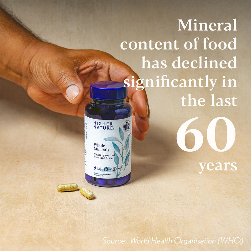 Higher Nature - Whole Minerals - Bio Minerals - Plant Based Complex - True Food® Formula - Multimineral Supplement - 100% Natural Sourced Minerals - Enhance Energy & Strengthen Immunity - 60 Capsules 60 count (Pack of 1)