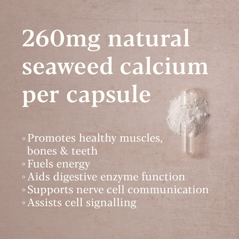 Higher Nature Icelandic Seaweed Calcium - True Food® - 260mg Natural Source - Clinically Proven Calcium Supplement, Dairy Free - Supports Bones, Teeth & Digestive Enzyme Function - 60 Capsules