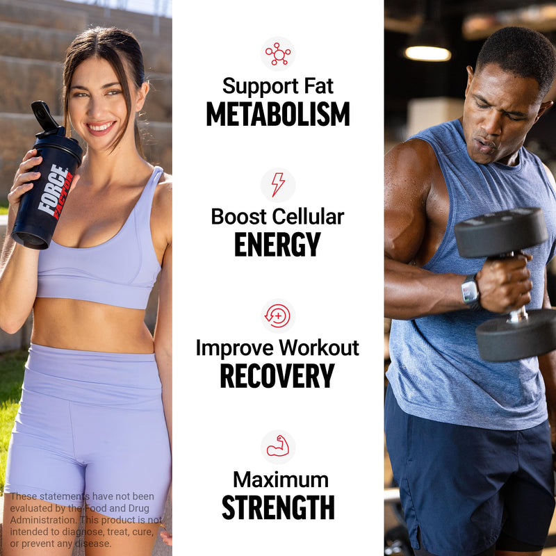 [Australia] - Force Factor L-Carnitine Liquid 3000mg, Maximum Strength Supplement to Support Fat Metabolism, Cellular Energy & Muscle Recovery, High Absorbing, Non-GMO, Orange Flavor, 16 oz Bottle 