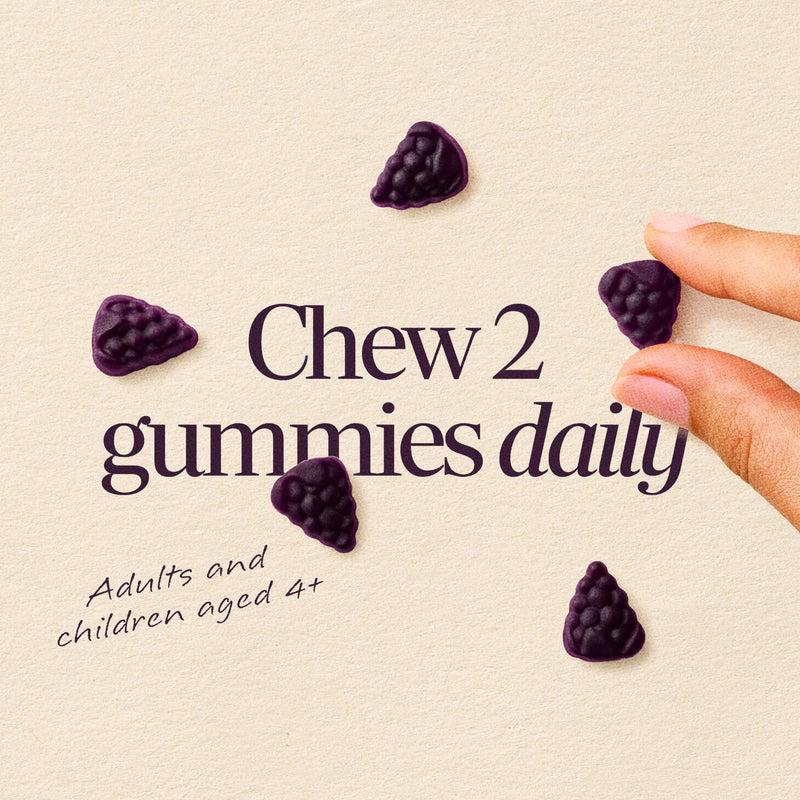 Nature's Way Sambucus Elderberry Gummies for Immune Support* Ages 4+, 60 ct | Immune Gummy with Black Elderberry Extract, Vitamin C, D3, Zinc, and Superfood Antioxidants*, Adults & Kids Ages 4+ 60 Count (Pack of 1)