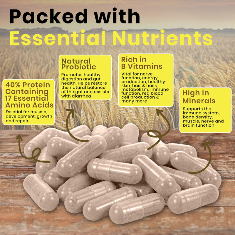 90 x 600mg Brewers Yeast Capsules 100% Pure & Natural Not Debittered HACCP Certified Manufactured in The UK (90) 90