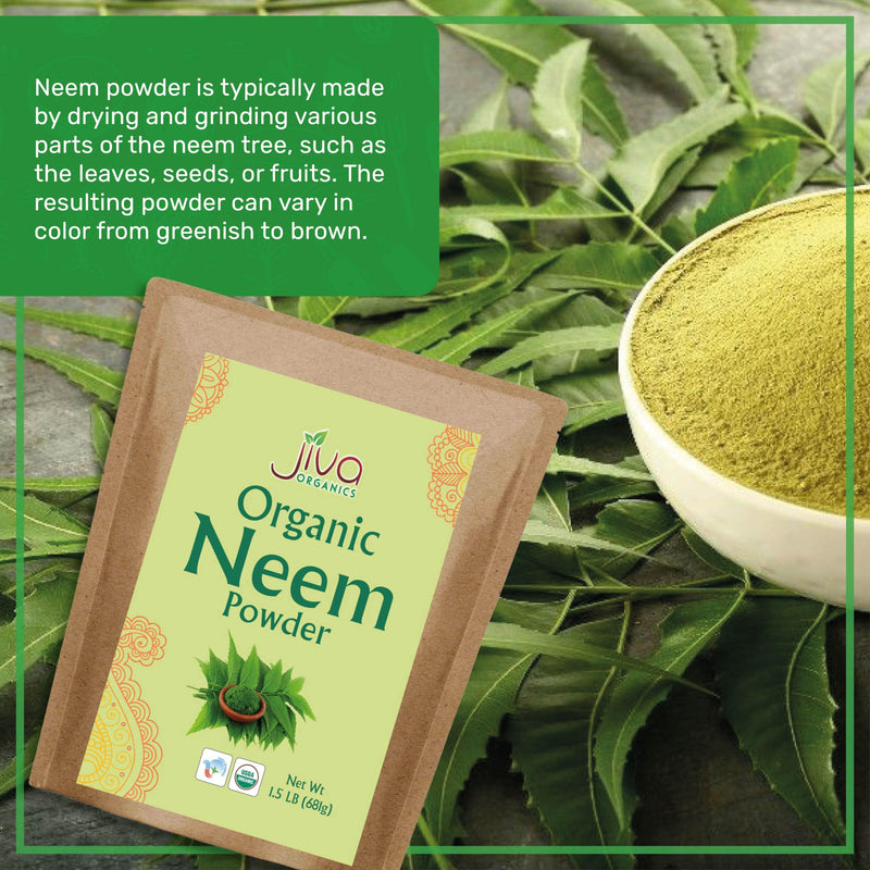 [Australia] - Jiva Organics Organic Neem Leaf Powder 1.5 Pound Bulk Bag - Azadirachta Indica - Pure & Natural Ayurvedic Herb - Neem Powder for Eating, Skin, Gums, and More! 1.5 Pound (Pack of 1) 