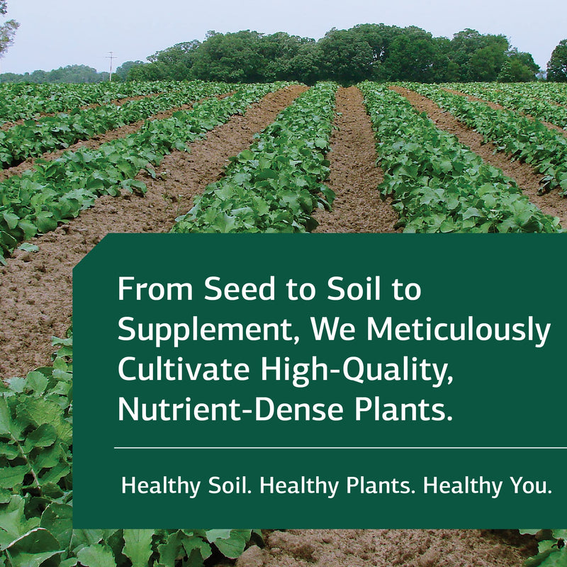 [Australia] - Standard Process Drenamin - Adrenal Function Supplement for Healthy Stress Response - Supports Healthy Energy Production & Metabolism - Gluten-Free, Non-Dairy & Non-Soy - 90 Tablets (90 Servings) 90 Count (Pack of 1) 