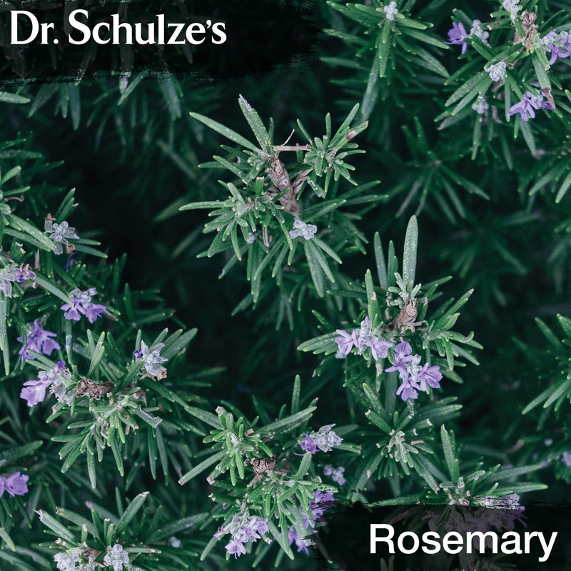 [Australia] - Dr. Schulze's Brain Formula 2 oz. - Vegan and Wild-Harvested | Stimulates Circulation and and Improved Mental Focus 