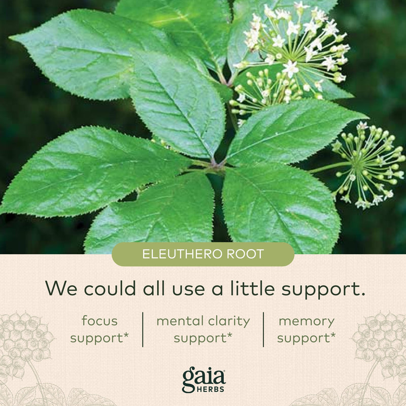 [Australia] - Gaia Herbs Mental Alertness - Brain Support Supplement to Help Maintain Focus & Memory* - with Eleuthero, Ginkgo Leaf, Gotu Kola, Rosemary & Oats - 60 Vegan Liquid Phyto-Capsules (15-Day Supply) 