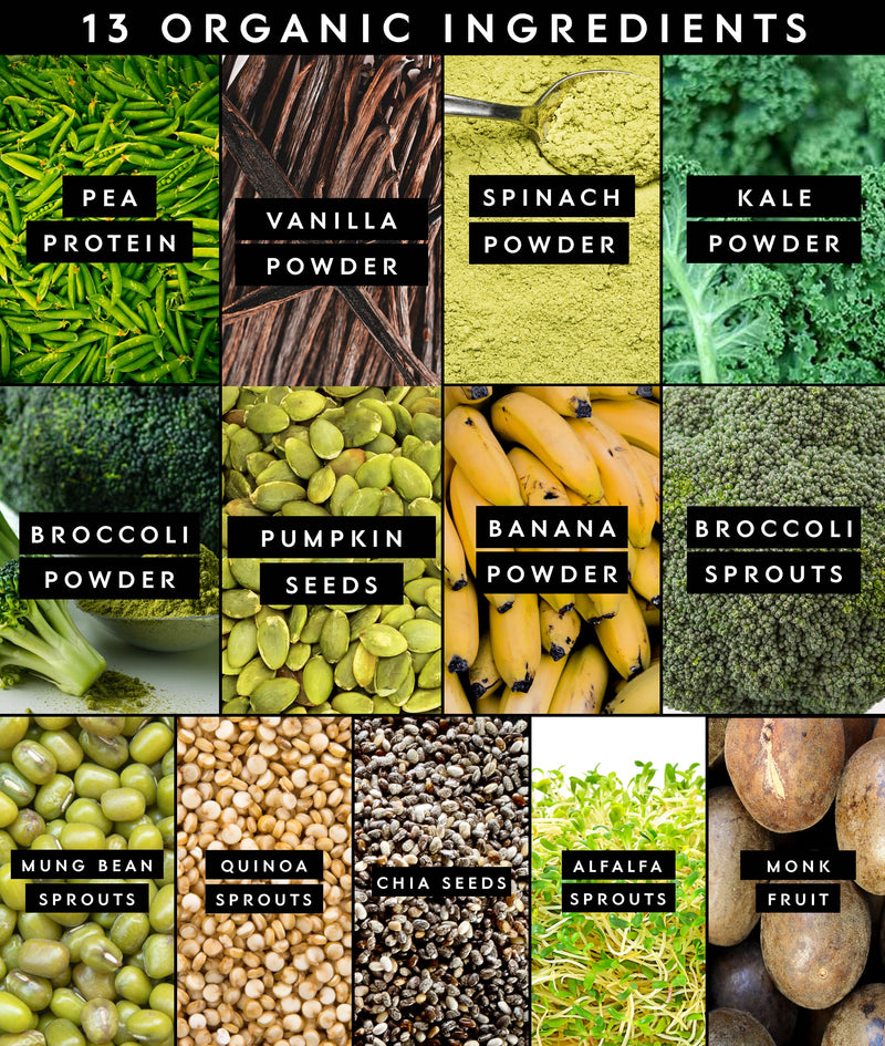 [Australia] - Truvani Protein + Greens Supplement | Spinach, Kale & Broccoli | 10g Organic Plant Based Protein | 20 Servings | USDA Organic | Gluten & Dairy Free | Vegan | No Added Sugar 