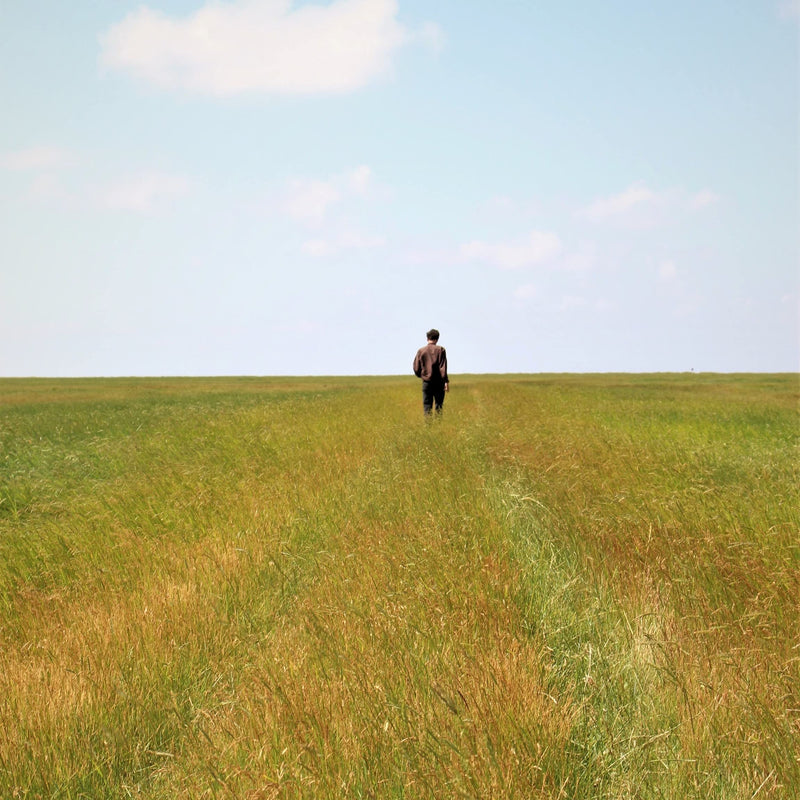 [Australia] - La Maison du Barbier – 3-piece beard care set with beard scissors, boar brush and beard comb – Made in France 