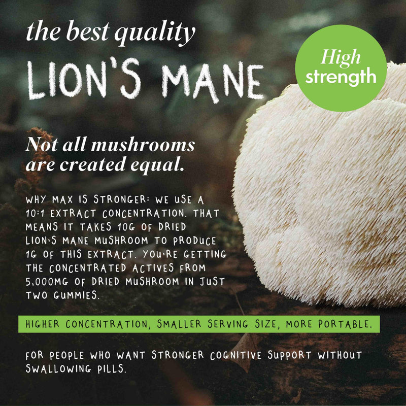 Grass & Co. Focus Max Mushroom Gummies, Vegan Lions Mane Gummies 5000mg with Vegan Algae Omega 3, Korean Ginseng, Vitamin B & Vitamin D, Elderflower & Lemon Flavour, 60 Count, High Strength