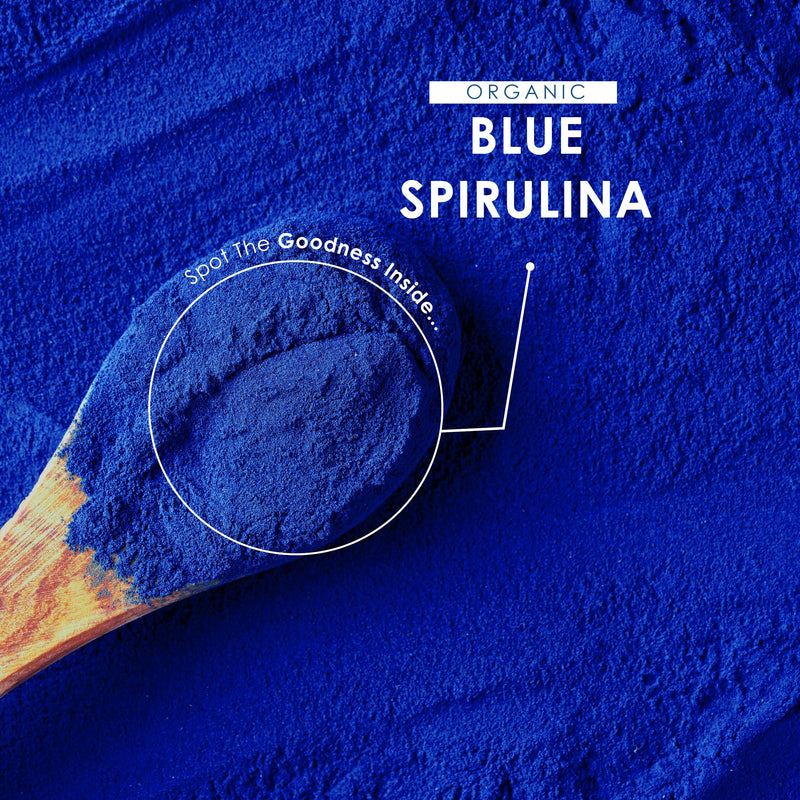 Organic Blue Spirulina Powder 100g – 100% Natural Phycocyanin for Smoothies – Vibrant Blue Food Colouring & Ingredient – Rich in Protein – Resealable and Recyclable Pouch by Alpha01 100 g (Pack of 1)
