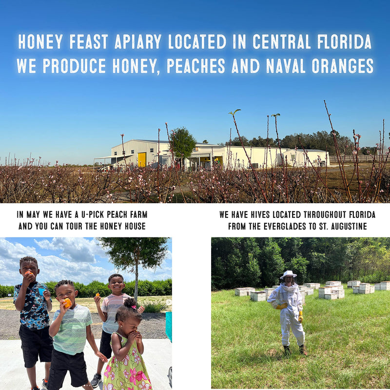 [Australia] - HONEY FEAST Flower Powered Raw Superfood Honey with Royal Jelly, Bee Pollen, Bee Propolis (12 Ounces) Cold packed and hand poured in Florida, USA 