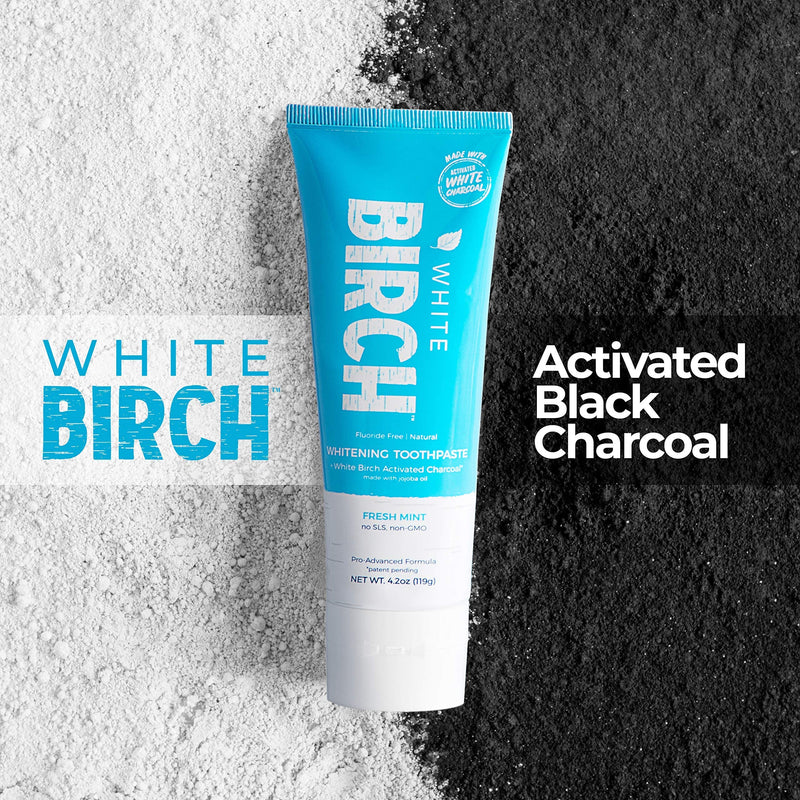 [Australia] - White Birch Activated Charcoal Toothpaste - Professional Teeth Whitening - Natural, No Fluoride Oral Care Whitening Toothpaste (1 Pack) 