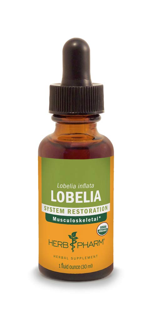[Australia] - Herb Pharm Certified Organic Lobelia Liquid Extract for Musculoskeletal System Support - 1 Ounce (DLOBEL01) 1 Fl Oz (Pack of 1) 