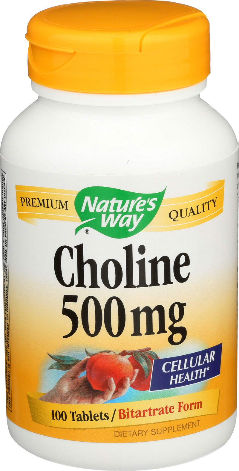 NATURE'S WAY Choline 500mg 100 Tablets