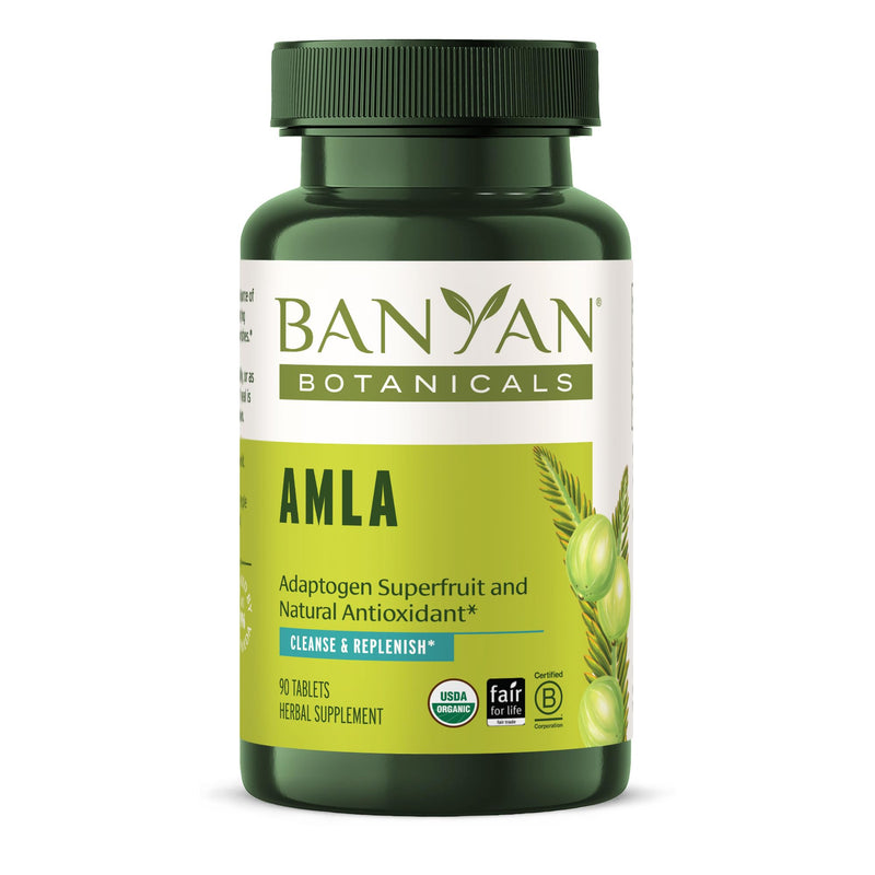 [Australia] - Banyan Botanicals Amla (Amalaki) Tablets – Organic Emblica Officinalis – Natural Source of Vitamin C and Antioxidants – Supports Digestion and Cleansing* – 90 Tablets – Non GMO Sustainably Sourced 
