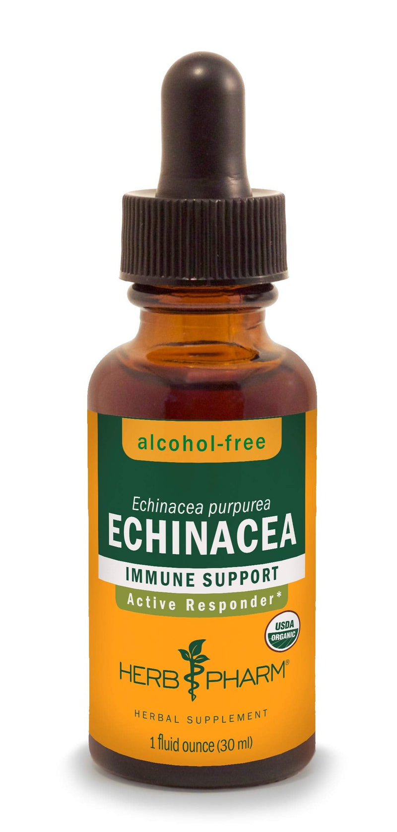 [Australia] - Herb Pharm Organic Echinacea Root Extract, Alcohol-Free: Immune System Support for All Seasons, Fast-Acting Echinacea Plant Supplement, Non-GMO, Vegan & Gluten-Free, 1 Oz 1 Fl Oz (Pack of 1) Alcohol-free Glycerite 