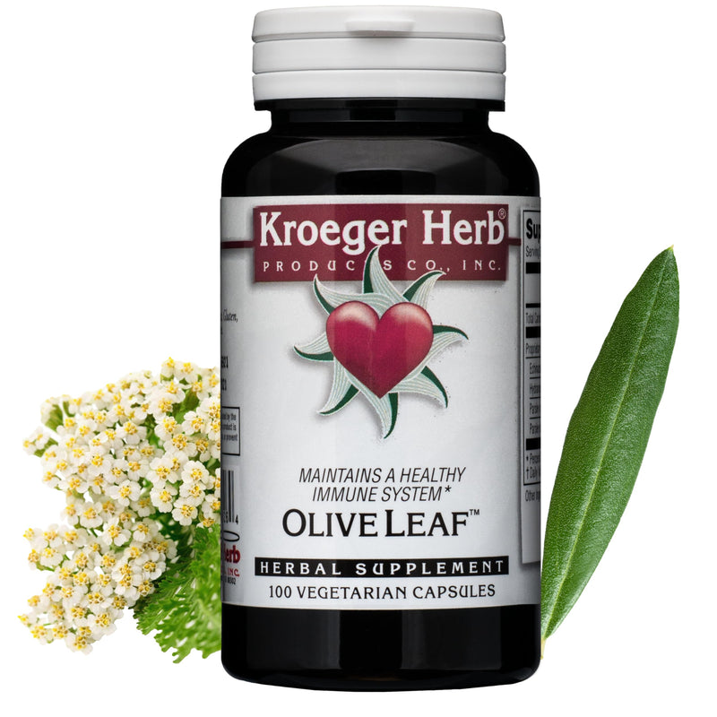 [Australia] - Kroeger Herbs, Olive Leaf Extract Capsules for Immune System, Olive Leaf & Yarrow Supplement, Vegetarian, Non-GMO, Gluten Free, No Preservatives - 100 Capsules, Made in USA 