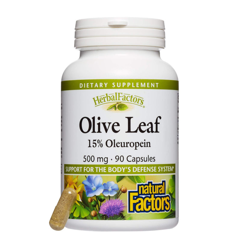 [Australia] - HerbalFactors by Natural Factors, Olive Leaf 500 mg, Natural Wellness Formula, 90 Capsules 90 Count (Pack of 1) 