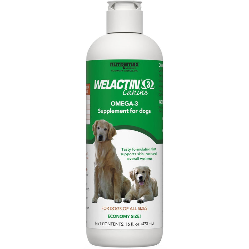 Nutramax Welactin Omega-3 Fish Oil Dog Supplement, Skin & Coat, Liquid 16oz 16 oz (480 mL)