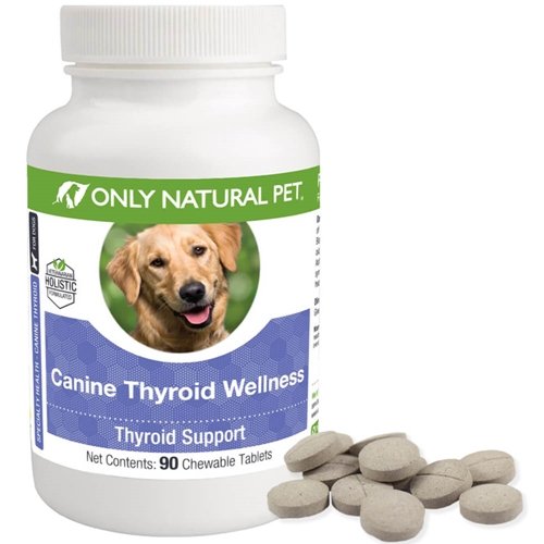 Only Natural Pet Canine Thyroid Wellness Supplment for Dogs - 90 Chewable Tablets - PawsPlanet Australia