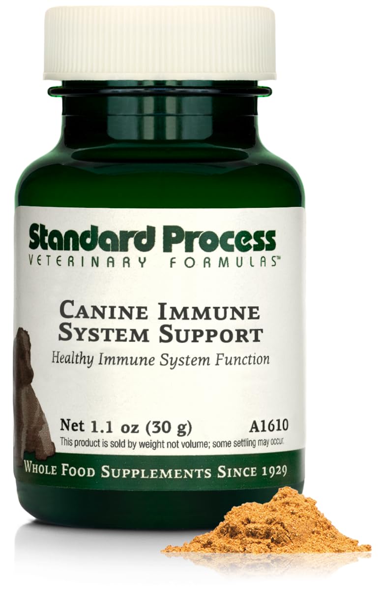 Standard Process Canine Immune System Support - Immune Support Supplement for Dogs - Powder Canine Supplement Aids Overall Health & Wellness - Immunity Support Supplement with Zinc & Kelp - 30 g 1.1 Oz (Pack of 1) - PawsPlanet Australia