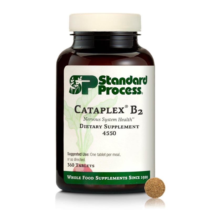 Standard Process Cataplex B2, Nervous System & Brain Health, 360 Tablets | Supplement for Nervous System Support, Brain and Nerve Health, Excellent Source of Vitamin B2 and B6, Non-Dairy and Non-Soy Unflavored 360 Count (Pack of 1)