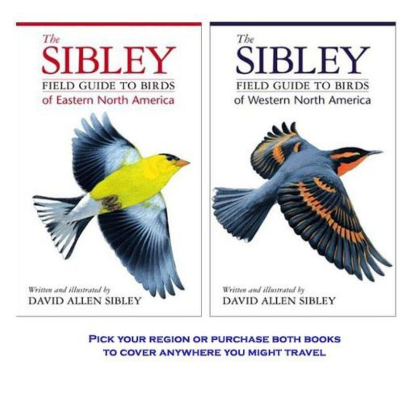 The Sibley Field Guide to Birds of Eastern North America - PawsPlanet Australia