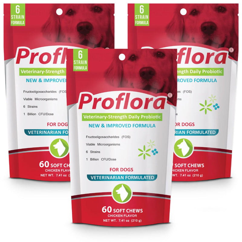 Proflora Probiotic Soft Chews for Dogs - Veterinary-Strength Daily Probiotic - Digestion Health - Boost Immune System - Skin and Coat Health - 180 Soft Chews - PawsPlanet Australia