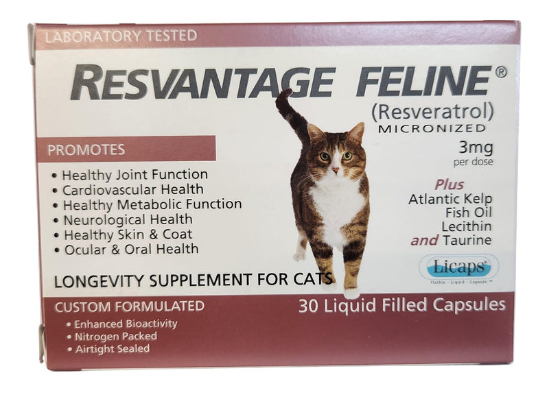 Feline - Resveratrol - The Longevity Supplement for Cats - 30 Capsules - PawsPlanet Australia