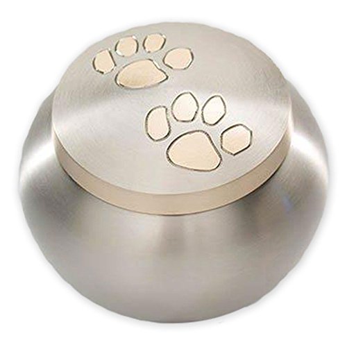 Pawsitively Cherished Unique Brass Cremation Urn for Ashes - Dogs, Cats and Small Pets - Pewter/Gold - Small Small - Standard
