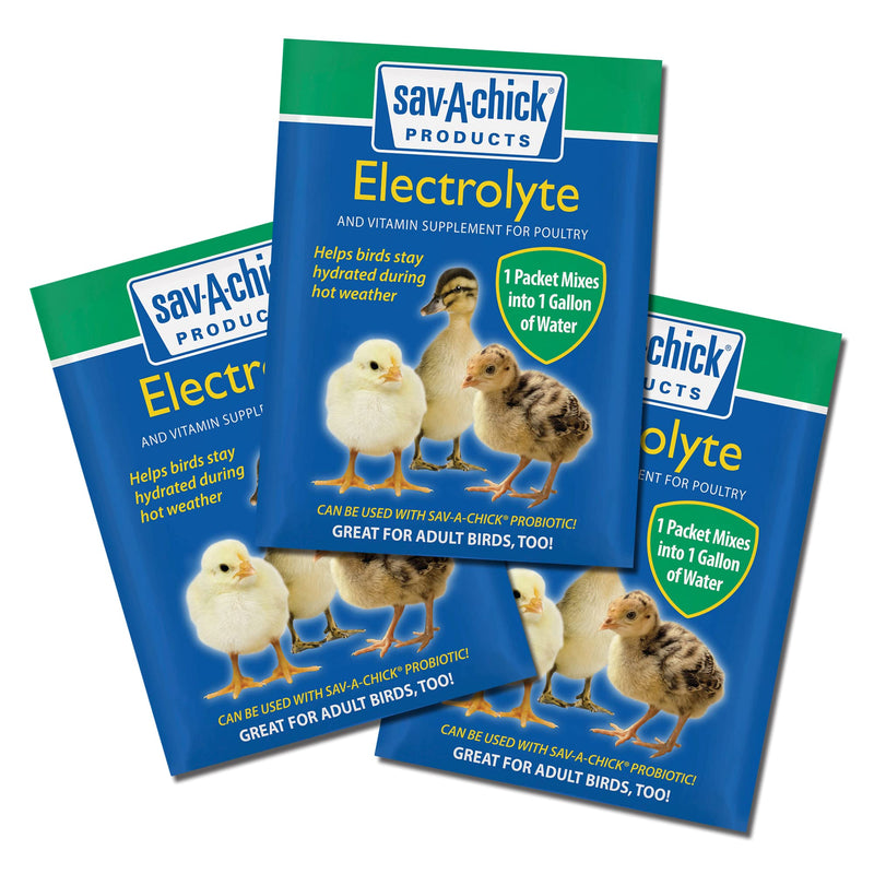 Sav-A-Chick Electrolyte & Vitamin Supplement (3 - 0.2 oz packets) - PawsPlanet Australia