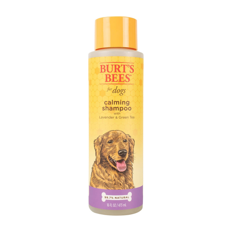 Burt's Bees for Pets Naturally Derived Calming Dog Shampoo with Lavender and Green Tea - Cleansing Lavender Dog Shampoo - Cruelty Free, Made in USA, 16 oz Unscented 16 Fl Oz (Pack of 1) - PawsPlanet Australia
