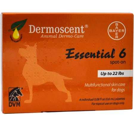 Bayer Dermoscent 6 Spot On Skin Care for Small Dogs up to 22 lb Fish Oil Nutritional Supplements - PawsPlanet Australia