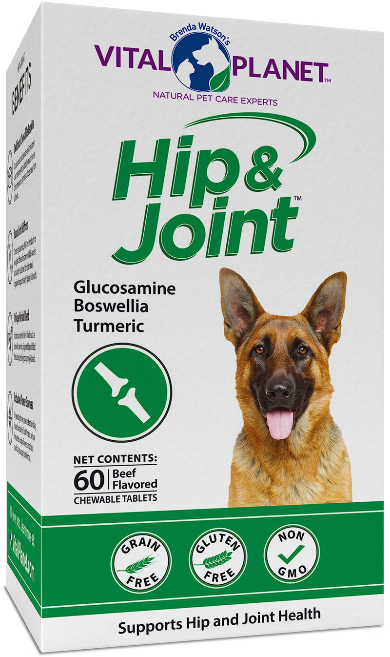 Vital Planet - Natural Hip and Joint Supplement for Dogs - Potent Herbal Blend with Green Lipped Mussel, MSM and Glucosamine Beef Flavor (60 Chewable Tabs) - PawsPlanet Australia