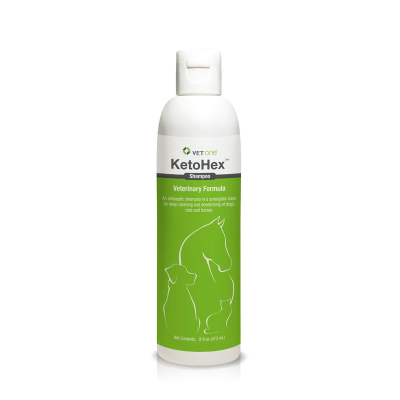 Vet One Dog Allergy Shampoo - Vet formula dog Shampoo for Dogs 8 oz - PawsPlanet Australia
