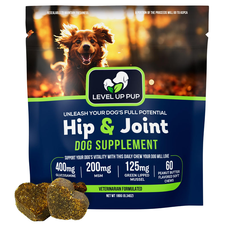 Dog Hip & Joint Supplement | Advanced Inflammation & Pain Relief with Glucosamine, Chondroitin, MSM, Hyaluronic Acid, Green Lipped Mussel, Turmeric, and Vitamin E. 60 Peanut Butter Chews - PawsPlanet Australia