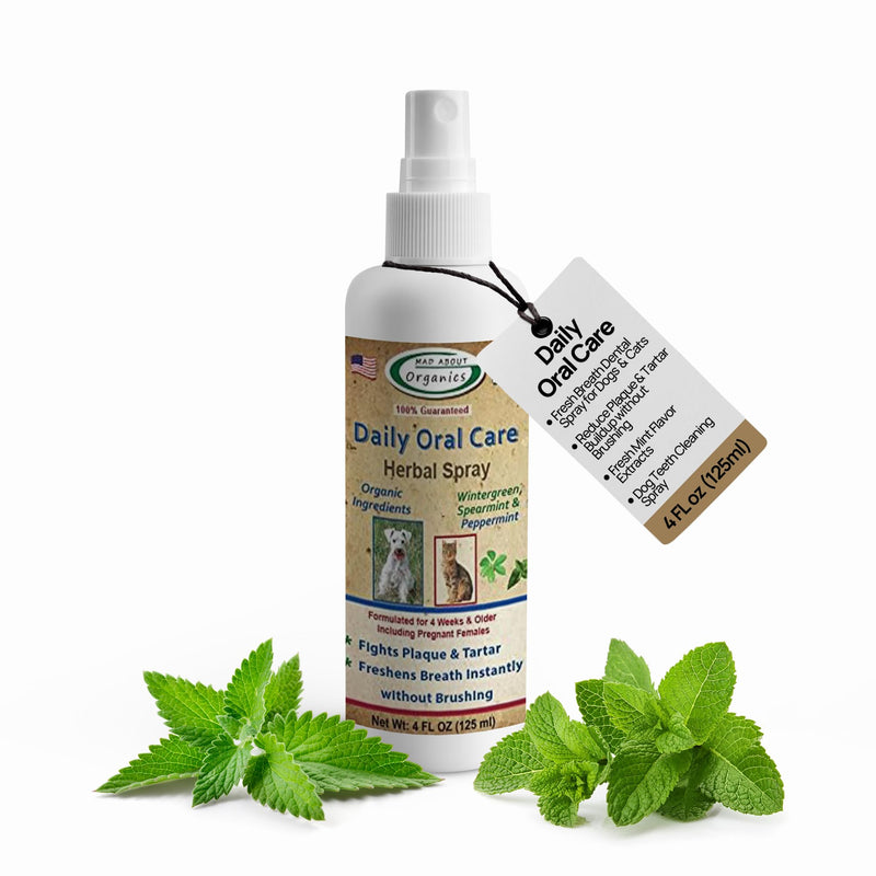 Daily Oral Care Herbal Spray for Dogs & Cats - Wintergreen, Spearmint & Peppermint Formula, Reduces Plaque & Tartar for Fresh Breath, Simple No-Brush Dental Solution, 4oz Bottle - PawsPlanet Australia