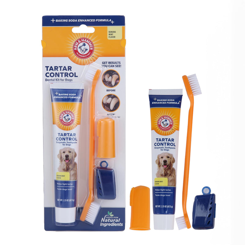 Arm & Hammer for Pets Tartar Control Kit for Dogs Contains Toothpaste, Toothbrush & Fingerbrush Reduces Plaque & Tartar Buildup, 3-Piece Kit, Banana Mint Flavor (Pack of 1) 3 Piece Set