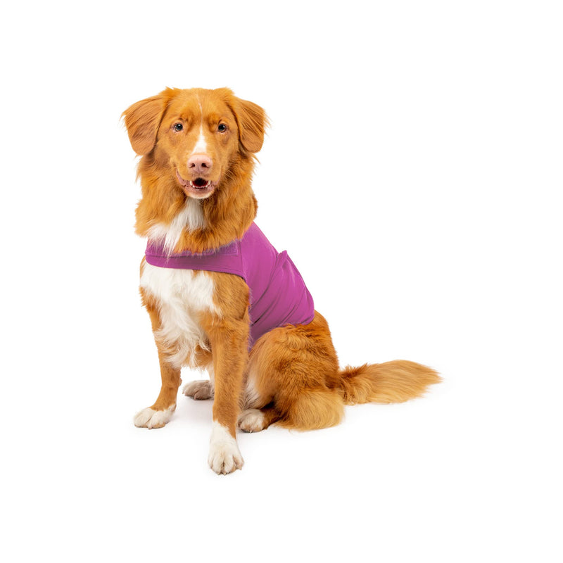 Dog Anxiety Calming Wrap, Small, Radiant Orchid - PawsPlanet Australia