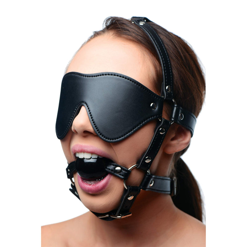 [Australia] - Blindfold Harness and Ball Gag 