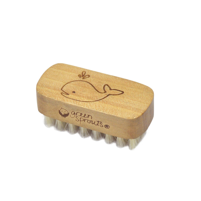 [Australia] - green sprouts Baby Nail Brush, Gently Cleans Baby‚Äôs Nails, Soft, Natural bristles for Comfort, Easy to Grasp Wood Handle, Made from Natural, Non-Petroleum Materials Green 1 Count (Pack of 1) 