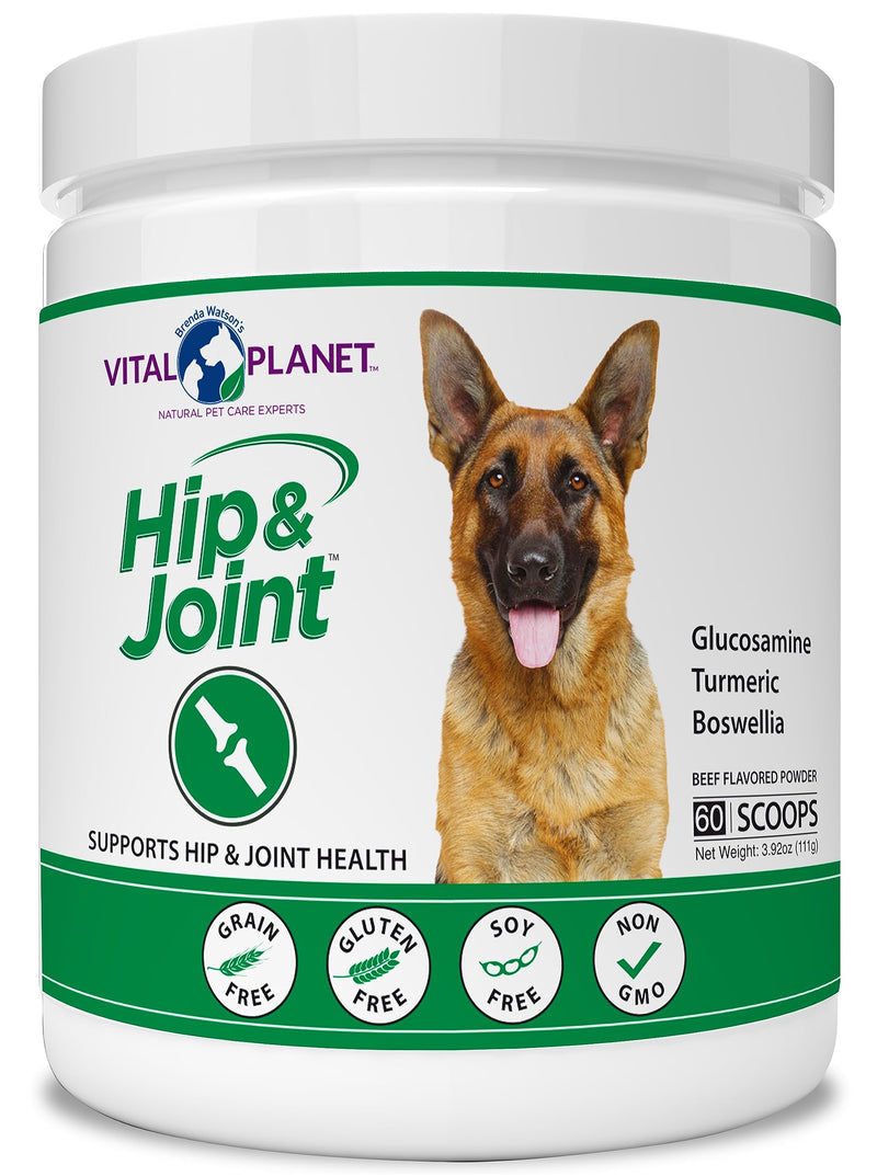 Vital Planet - Hip and Joint Support Powder Supplement for Dogs, with Glucosamine, Turmeric, Boswellia, MSM, and Collagen from Green-Lipped Mussel - Beef Flavored Powder, 60 Scoops, 111 Grams - PawsPlanet Australia