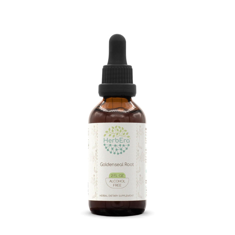 [Australia] - Goldenseal Root B60 Alcohol-Free Herbal Extract Tincture, Super-Concentrated Responsibly farmed Goldenseal (Hydrastis Canadensis) (2 fl oz) 2 Fl Oz (Pack of 1) 