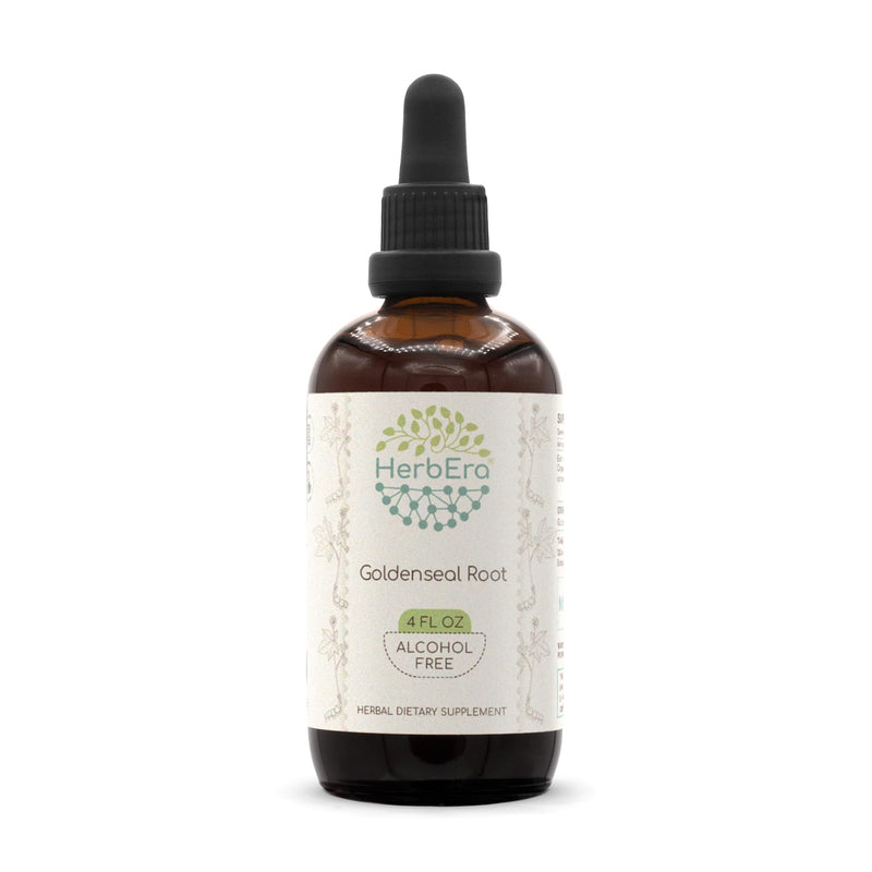 [Australia] - Goldenseal Root B120 Alcohol-Free Herbal Extract Tincture, Super-Concentrated Responsibly farmed Goldenseal (Hydrastis Canadensis) (4 fl oz) 4 Fl Oz (Pack of 1) 