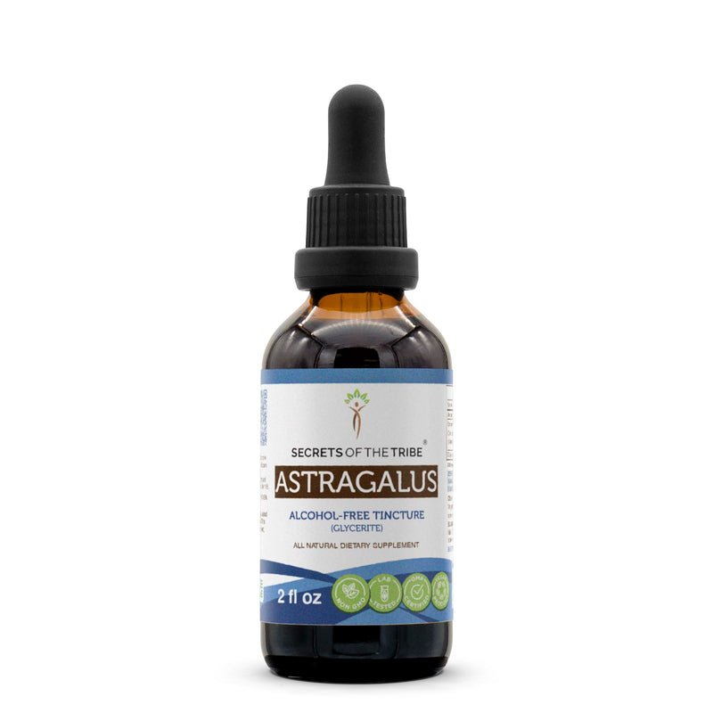 [Australia] - Secrets of the Tribe Astragalus Tincture Alcohol-Free Liquid Extract, Astragalus (Astragalus membranaceus) Dried Root (2 FL OZ) 2 Fl Oz (Pack of 1) 