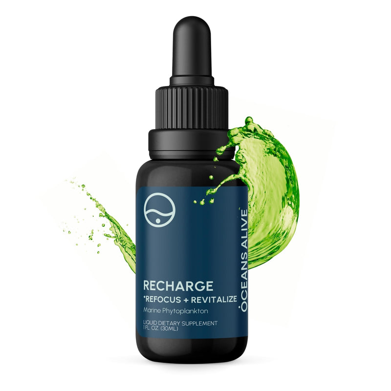 [Australia] - Activation Oceans Alive | 1 fl oz (30 ml) | Marine Phytoplankton Supplement | Chlorophyll & Mineral-Rich Formula for Energy & Focus | Natural Antioxidant Drops 