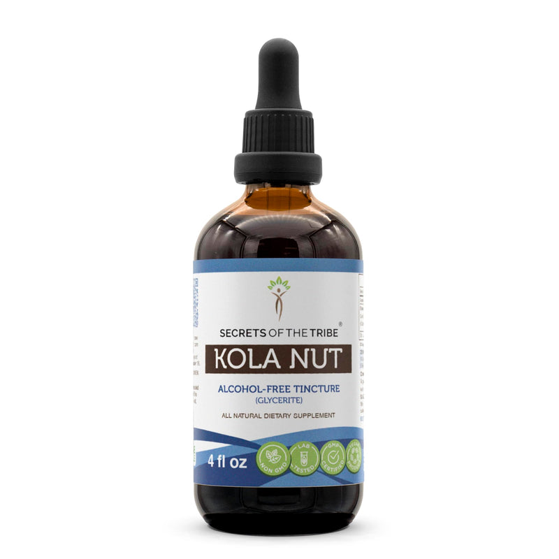 [Australia] - Secrets of the Tribe Kola Nut Tincture Alcohol-Free Extract, Kola nut (Cola Acuminate) Dried Nut (4 FL OZ) 4 Fl Oz (Pack of 1) 