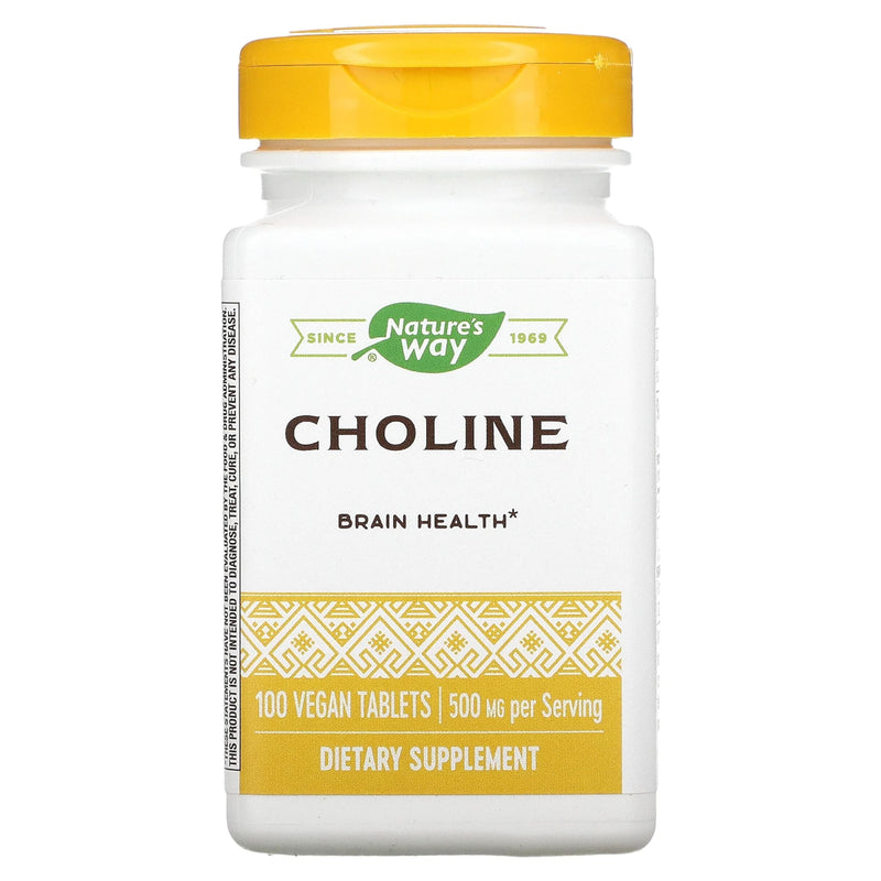 [Australia] - Natures Way 500Mg 100 Tb Choline, 100 CT 