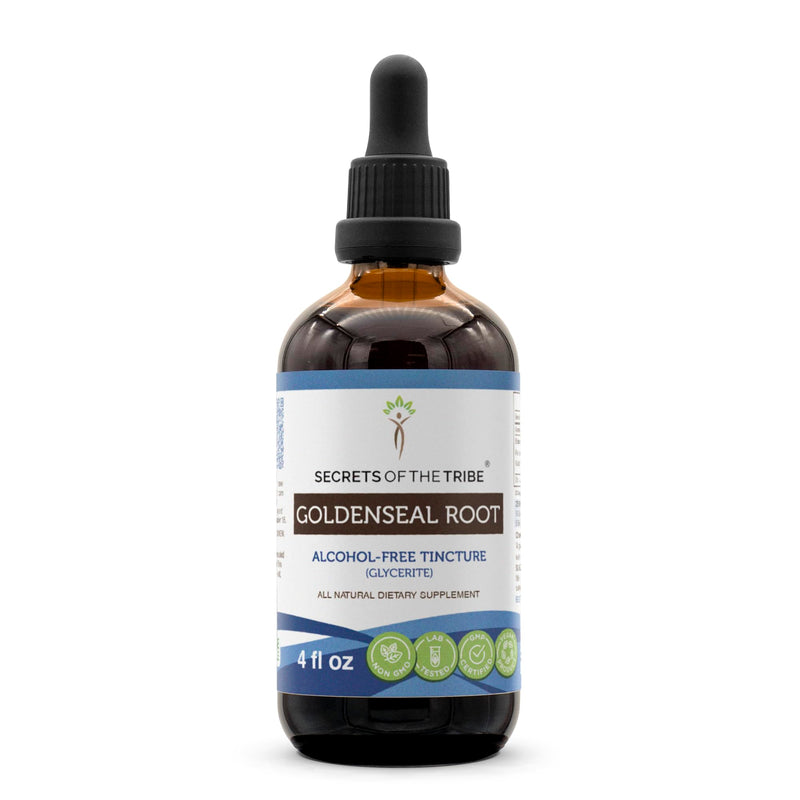 [Australia] - Secrets of the Tribe Goldenseal Root Tincture Alcohol-Free Extract, Goldenseal (Hydrastis Canadensis) Dried Root 4 OZ 4 Fl Oz (Pack of 1) 