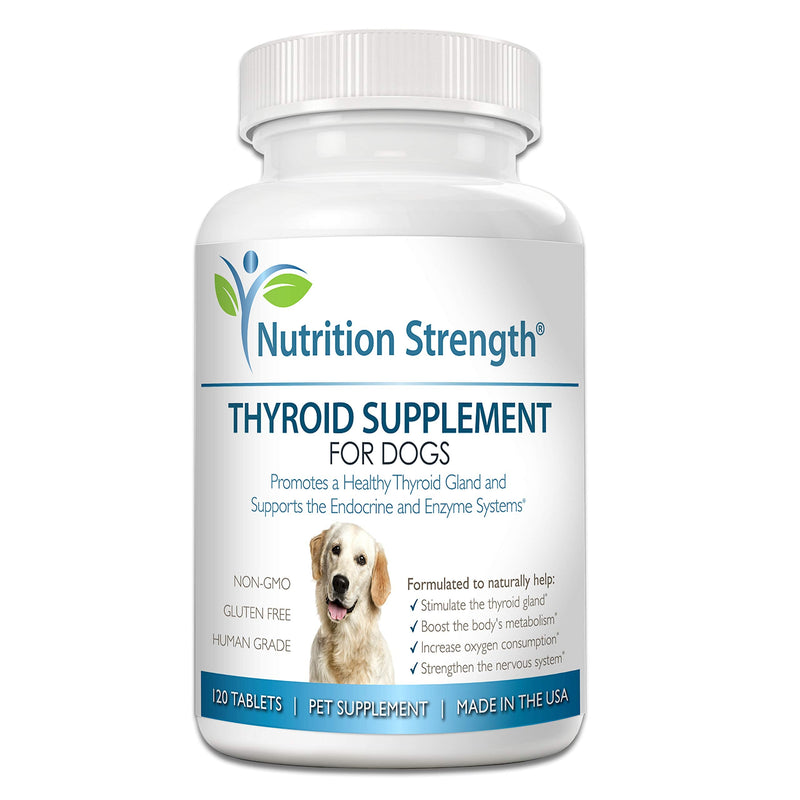 Thyroid Supplement for Dogs, Support for Hypothyroidism in Dogs with Organic Bladderwrack, Promotes Normal Function of Endocrine and Enzyme Systems, 120 Chewable Tablets - PawsPlanet Australia