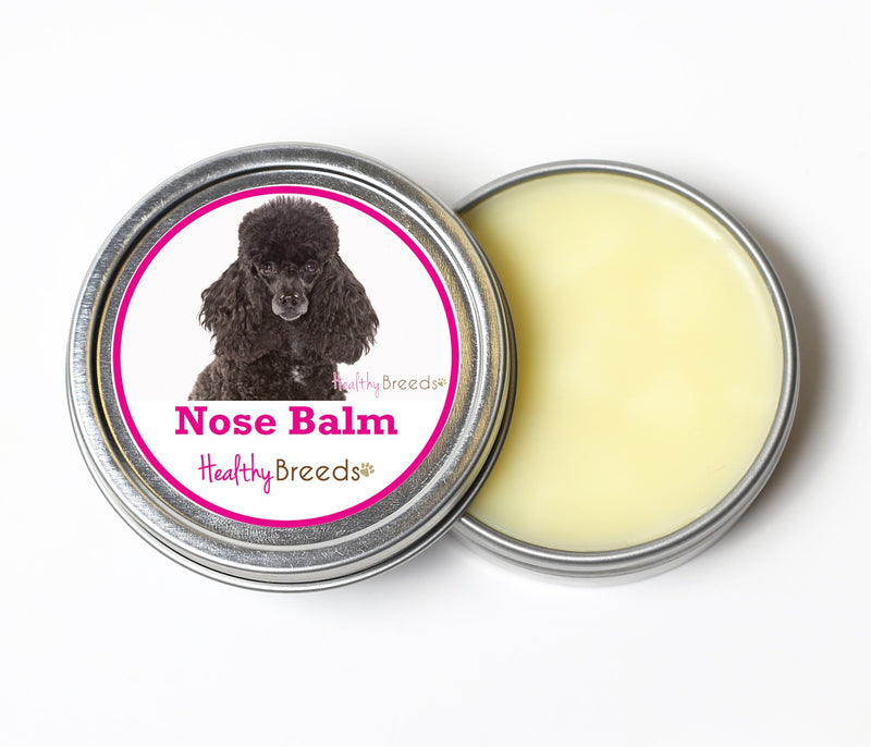 Healthy Breeds Poodle Dog Nose Balm 2 oz Poodle, Black - PawsPlanet Australia
